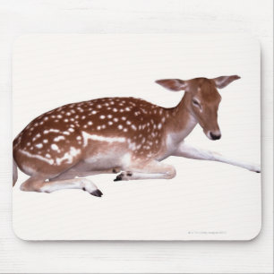 Tapis De Souris cerfs communs 2