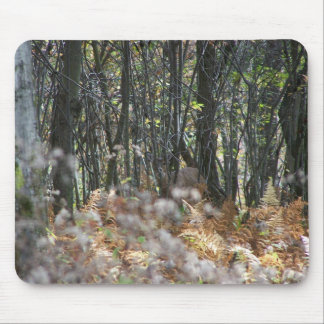 Tapis De Souris Cerfs communs en Virginie Occidentale