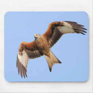 Tapis De Souris Cerfs-volants rouges sauvages