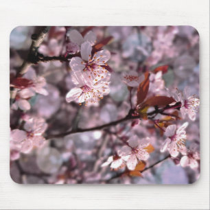 Tapis De Souris Cerise Plum Tree rose