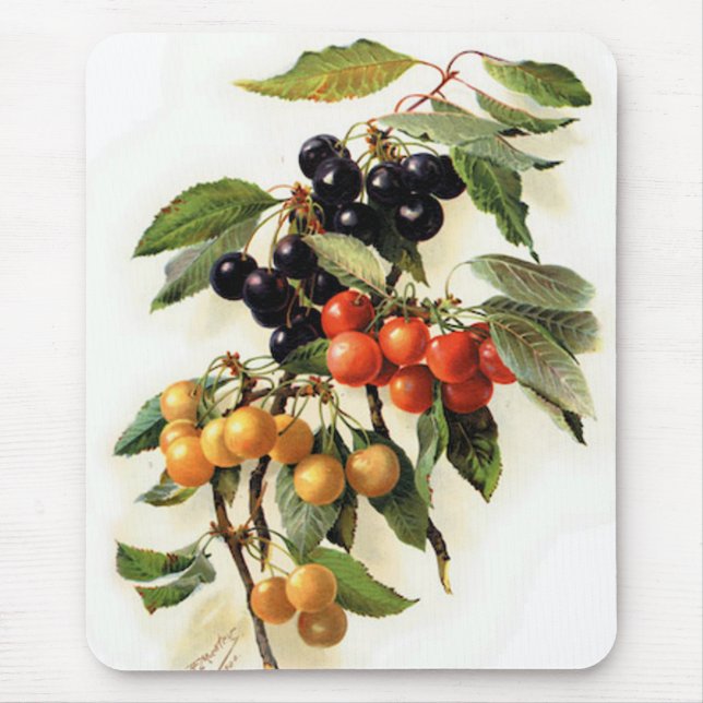 Tapis De Souris Cerises botaniques Imprimer (Devant)