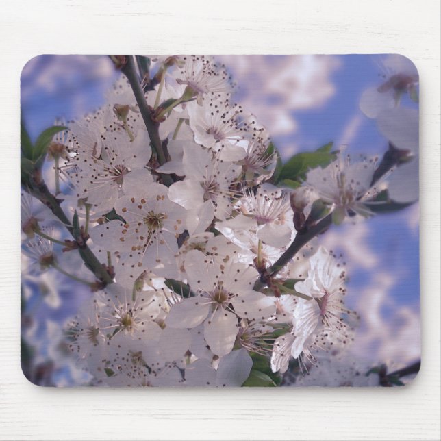 Tapis De Souris Cerisier aigre ciel bleu (Devant)