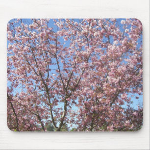 Tapis De Souris Cerisiers en Fleurs