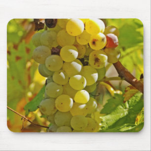 Tapis De Souris Certains Chasselas dans le vignoble - plantés il y