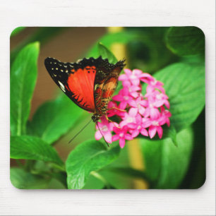 Tapis De Souris Cethosia biblis Mousepad