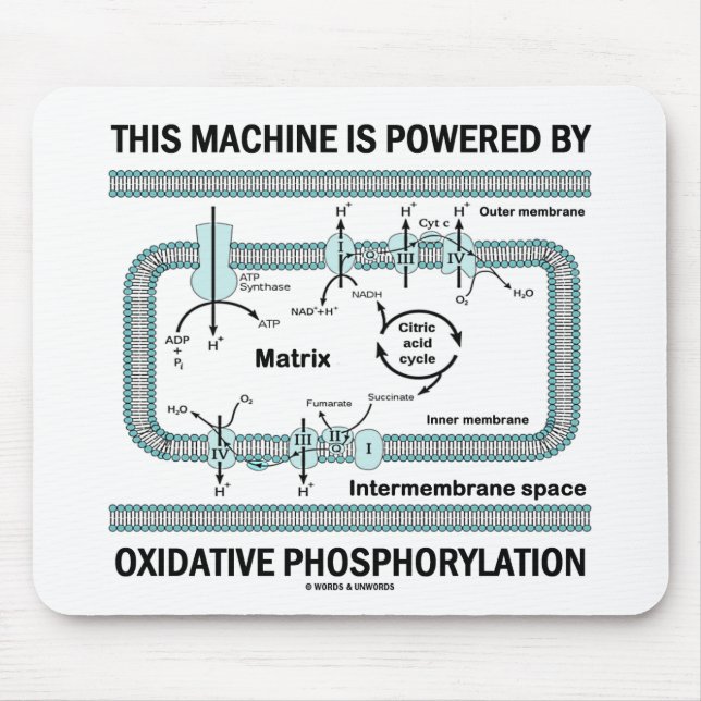 Tapis De Souris Cette Machine Alimentée Par La Phosphylation Oxida (Devant)