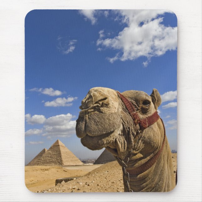 Tapis De Souris Chameau devant les pyramides de Gizeh, Égypte, (Devant)