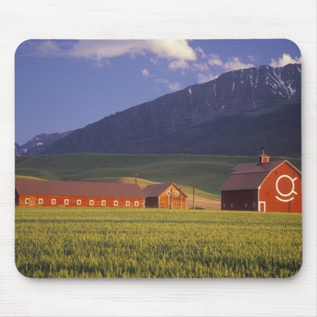 Tapis De Souris Champ de blé dans la vallée de Wallowa, juste à l' (Devant)
