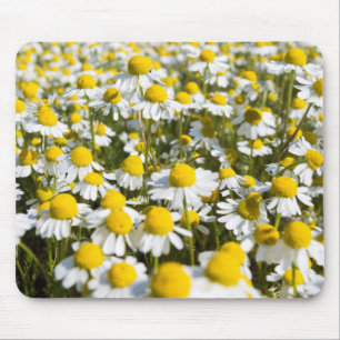 Tapis De Souris Champ de camomille, Hongrie