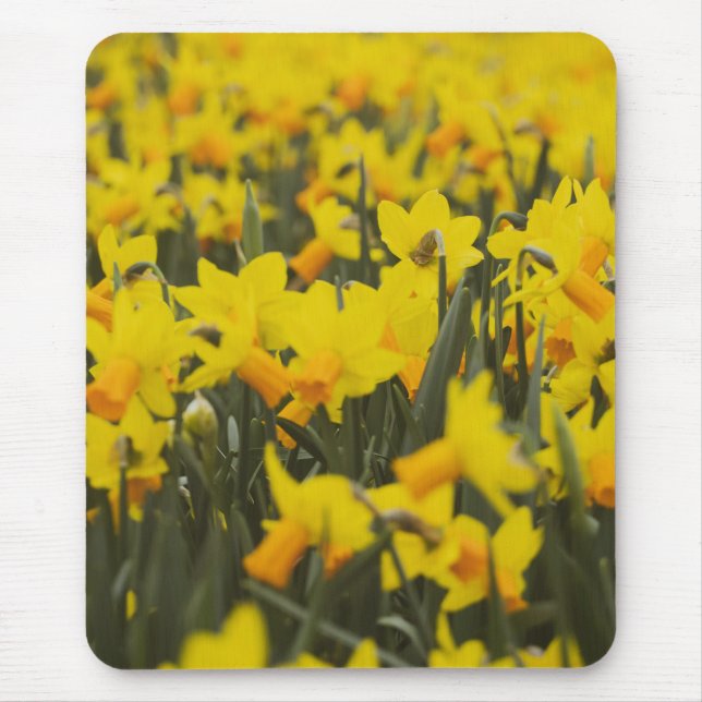 Tapis De Souris Champ de jonquilles (Devant)