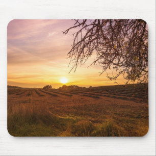 Tapis De Souris Champ de lavande d'automne au coucher du soleil