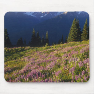 Tapis De Souris Champ de lupin, mont. Olympe, et nuages à