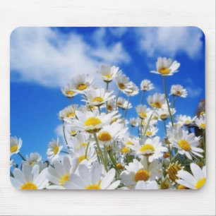 Tapis De Souris Champ de marguerite