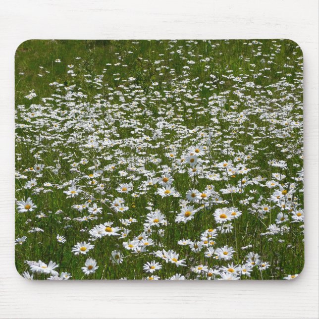 Tapis De Souris Champ de marguerites Fleurs sauvages de l'Alaska (Devant)