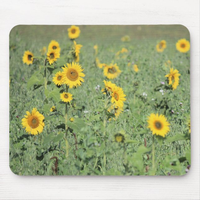 Tapis De Souris Champ de tournesols (Devant)
