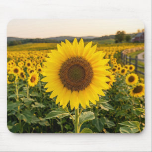Tapis De Souris Champ de tournesols