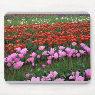 Tapis De Souris Champ de tulipes roses et rouges, Oregon