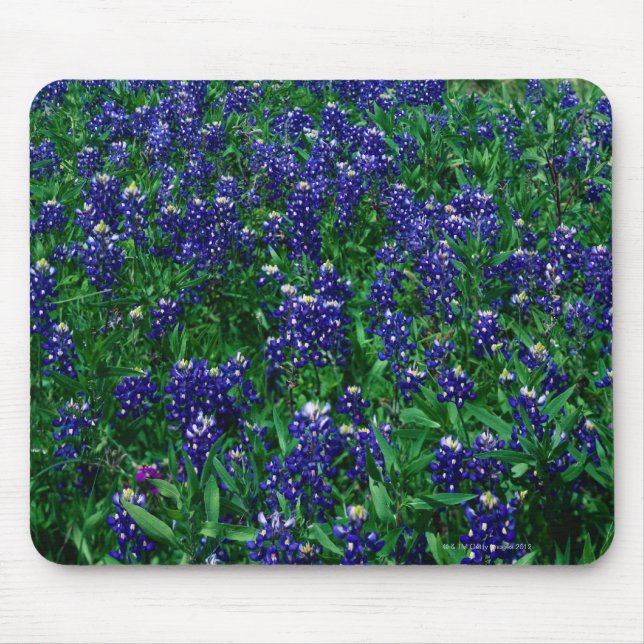 Tapis De Souris Champ des Bluebonnets de Texas (Devant)