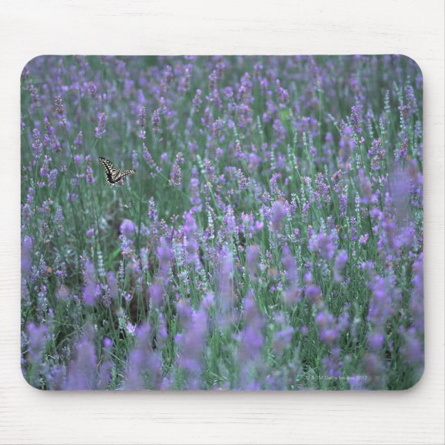 Tapis De Souris Champ Lavender (Devant)