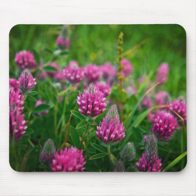Tapis De Souris Champ Printemps (Devant)