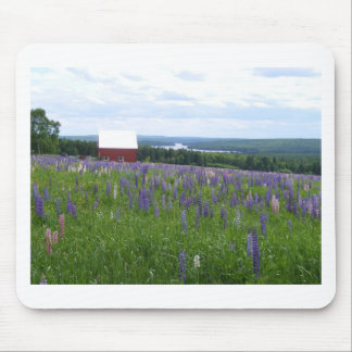 Tapis De Souris Champ Stockholm, JE de Lupines du Maine