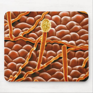 Tapis De Souris Champignon de rouille pulvérulente sur la