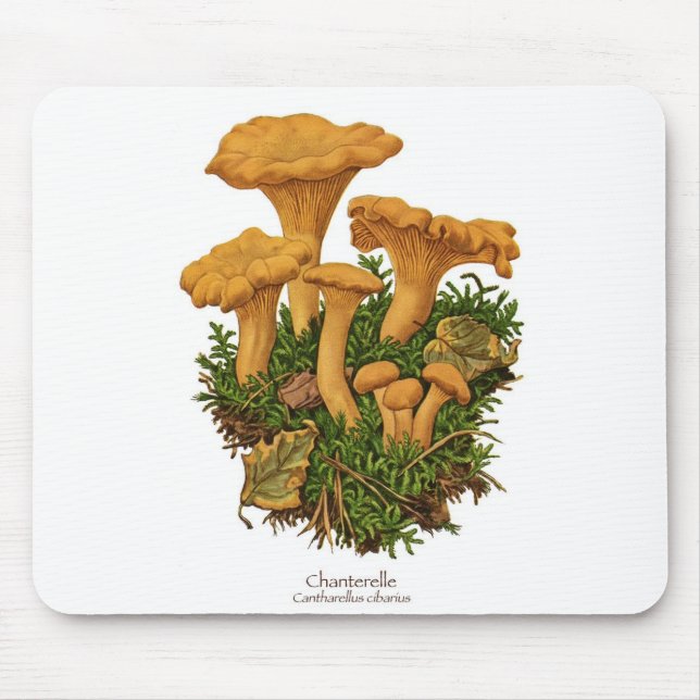 Tapis De Souris Champignon Mousepad de chanterelle (Devant)