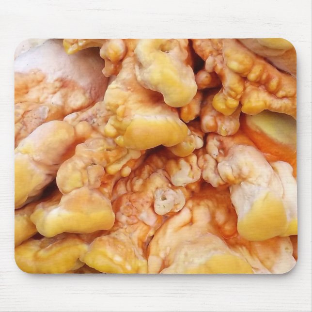 Tapis De Souris Champignon Orange (Devant)