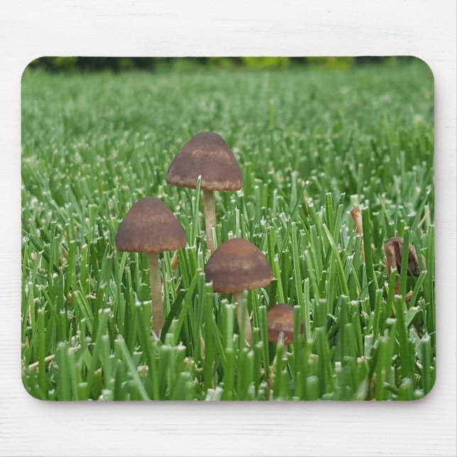Tapis de souris champignon sauvage et herbe (Devant)