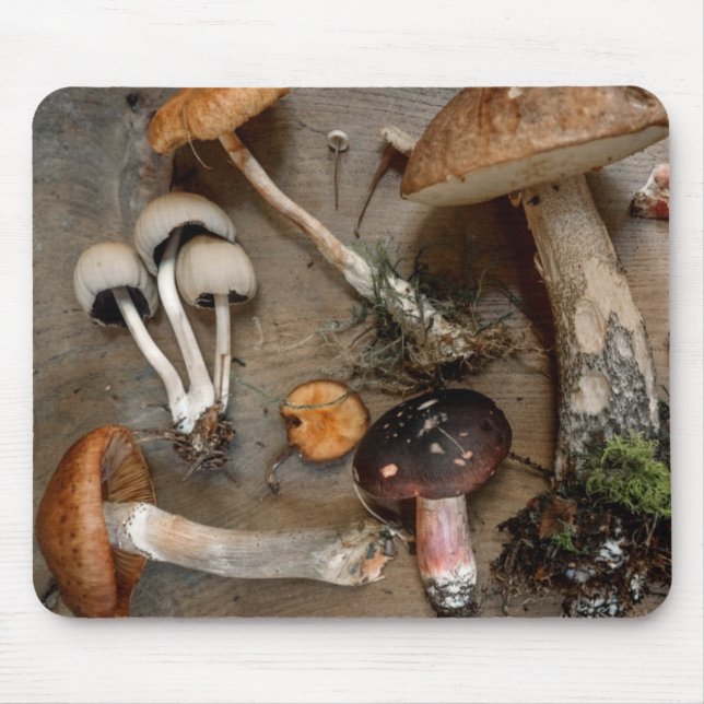 Tapis De Souris Champignons d'amour des champignons (Devant)