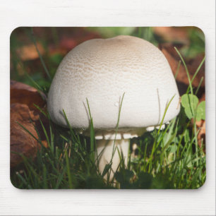 Tapis De Souris Champignons de campagne dans une forêt