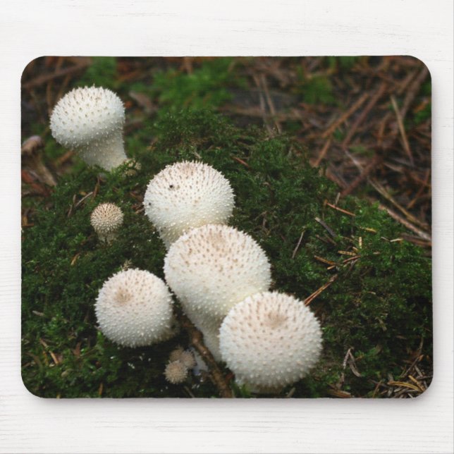 Tapis De Souris Champignons de vesse-de-loup de lycoperdon (Devant)