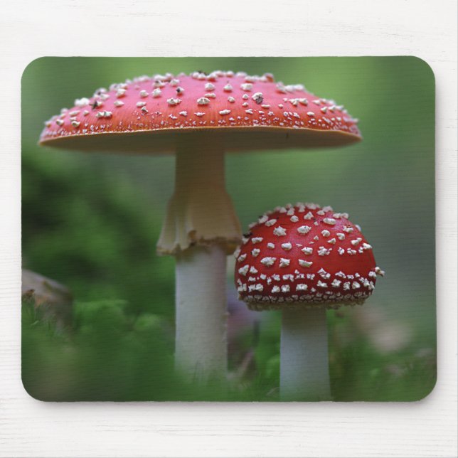 Tapis De Souris Champignons magiques (Devant)