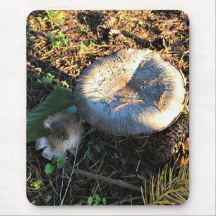 Tapis De Souris Champignons, Oregon