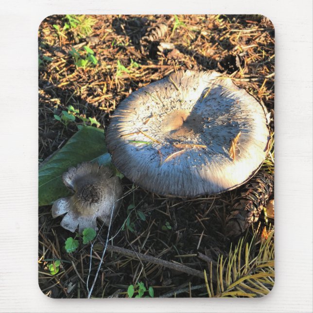 Tapis De Souris Champignons, Oregon (Devant)