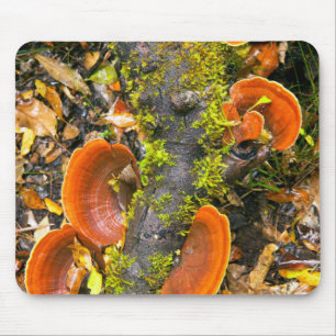 Tapis De Souris Champignons poussant sur des branches, le Knysna-A