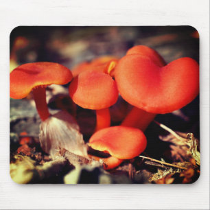 Tapis De Souris Champignons rouges orange Nature