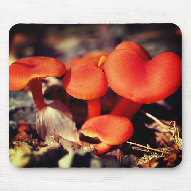 Tapis De Souris Champignons rouges orange Nature (Devant)