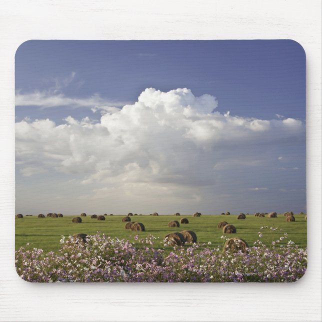 Tapis De Souris Champs de récolte avec des fleurs de cosmos dedans (Devant)
