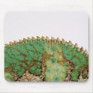 Tapis De Souris Changement de peau de caméléon