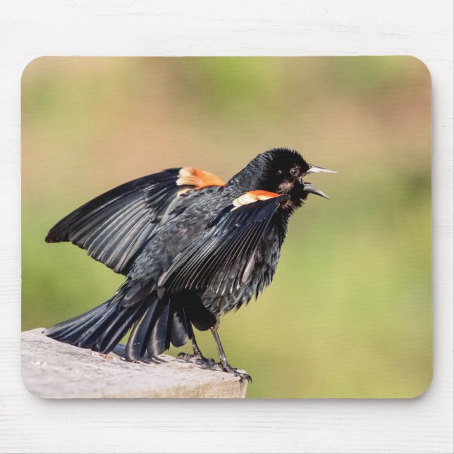Tapis De Souris Chant de Blackbird à ailes rouges (Devant)
