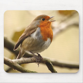 Tapis De Souris Chant Robin