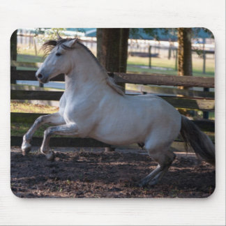 Tapis De Souris Charge Mousepad