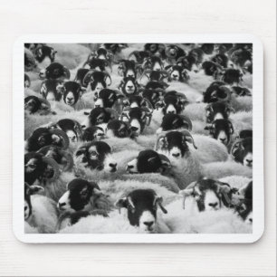 Tapis De Souris CHARGES de béliers Moutons Noir et Blanc