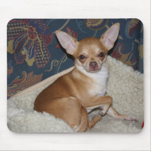 Tapis De Souris Charlie Chihuahua