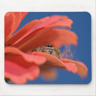 Tapis De Souris Charmant sauteur qui regarde dehors