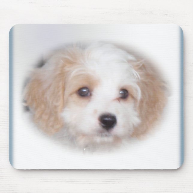 Tapis De Souris Chasse Cavachon Mousepad (Devant)