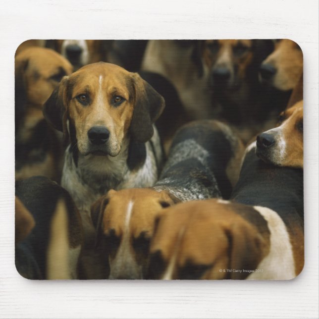 Tapis De Souris Chasse de foxhounds, Galway Blazers, Irlande (Devant)