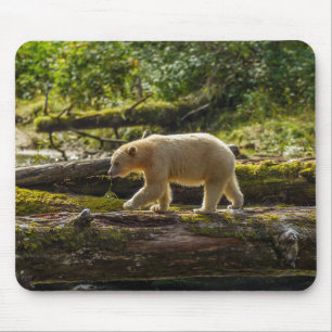 Tapis De Souris Chasse de l'ours esprit blanc