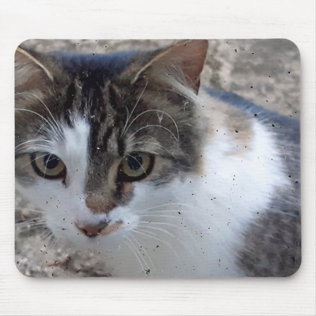 Tapis De Souris Chat à la fenêtre (Devant)